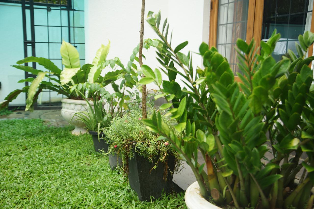 Nelinsa Residence Kandy Ngoại thất bức ảnh